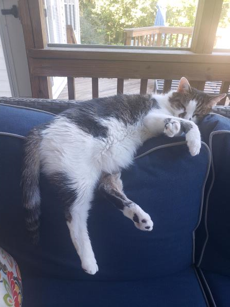 /Images/uploads/Congregation Beth Emeth/bethemeth/entries/17535thumb.jpg